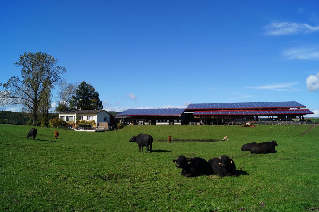 Bolderhof Villa Hemishofen Rom bilde