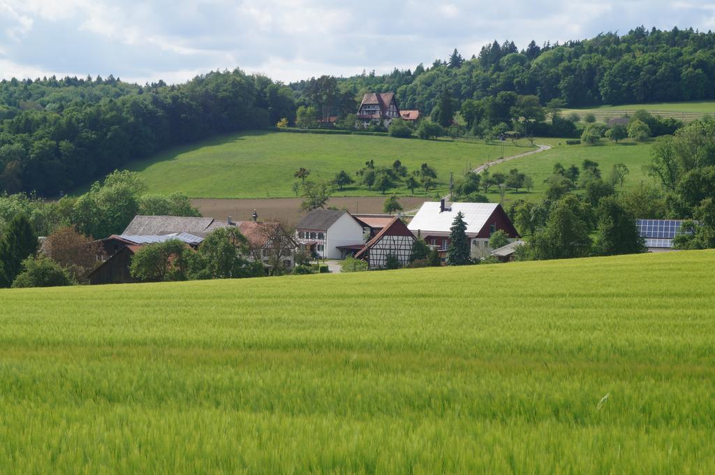 Bolderhof Villa Hemishofen Eksteriør bilde